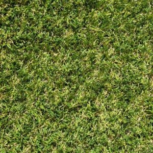 Artificial Grass 1.8m x 5m Hire